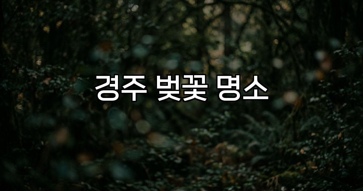 경주 벚꽃 명소 대릉원,보문호수,황리단길,첨성대,벚꽃터널