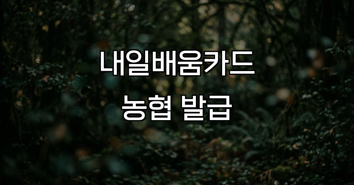 내일배움카드 농협 발급 신청 방법 혜택