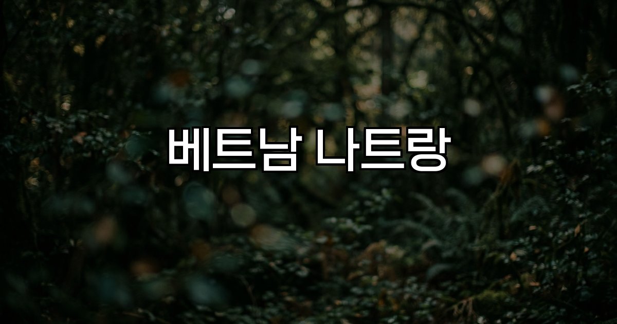 베트남 나트랑 해변 관광 명소 여행 정보